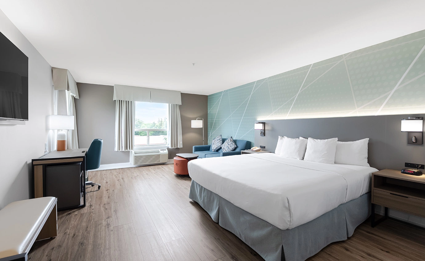 Premier King Room 1