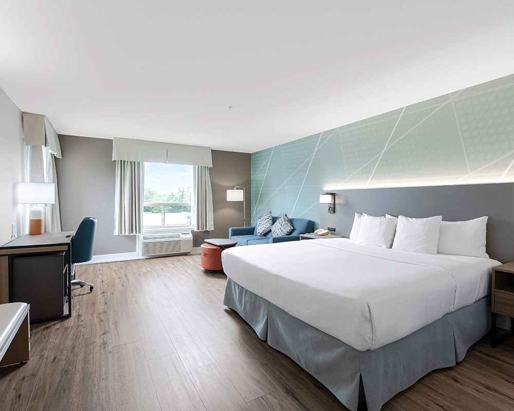 Premier King Room
