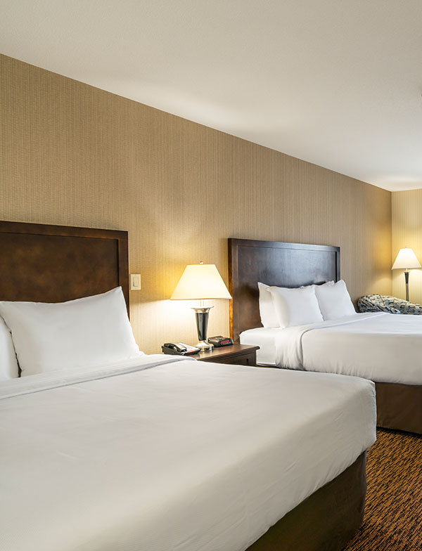 Hotel Amenities