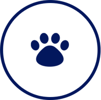 Pet Friendly & Accessible Rooms