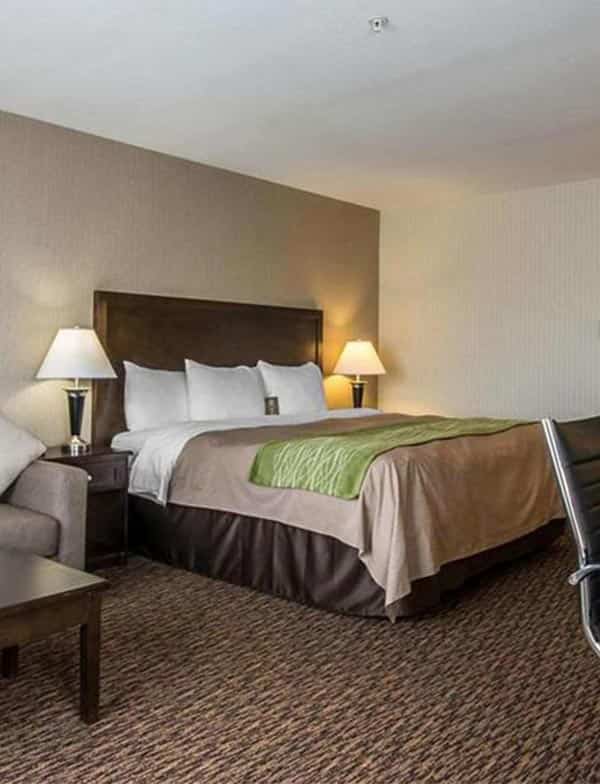 Welcome to Comfort Inn and Suites in Surrey, BC