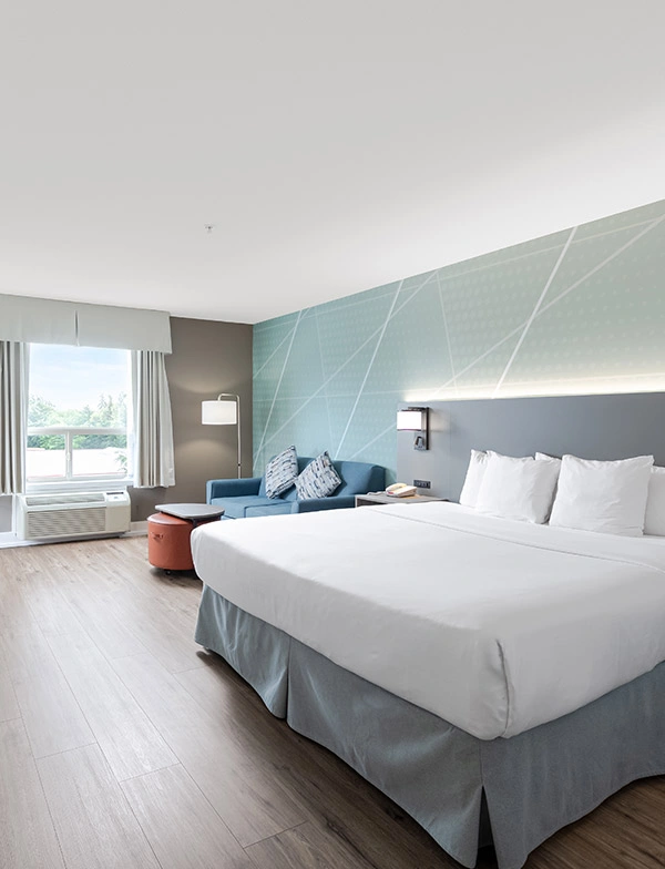 Premier King Room