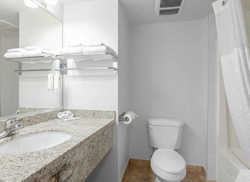 Premier Living Suites with Kitchenette 4